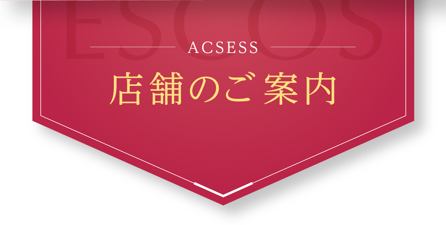 ACSESS店舗のご案内